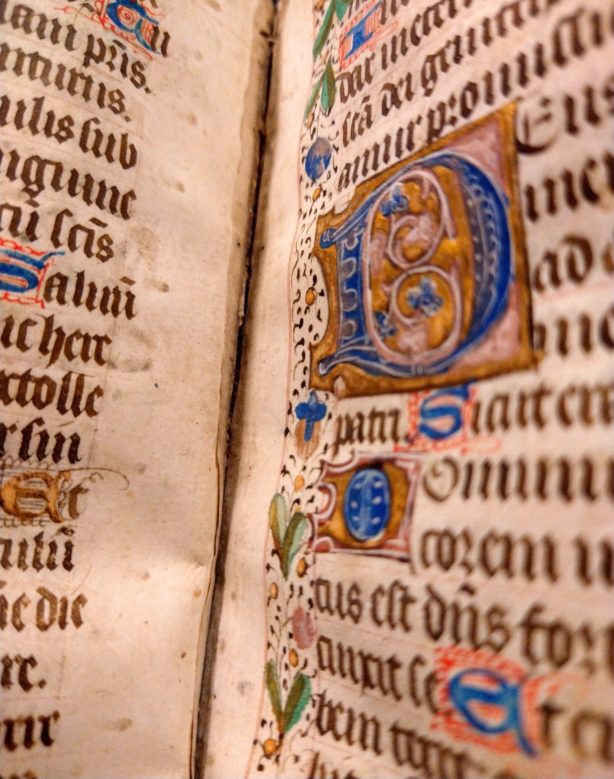 Illuminated Works at Grinnell